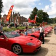 Ferrari Feather Flag